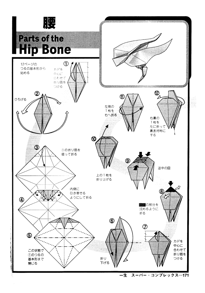 吉野一生的三角龙骨架折完后能当艺术品