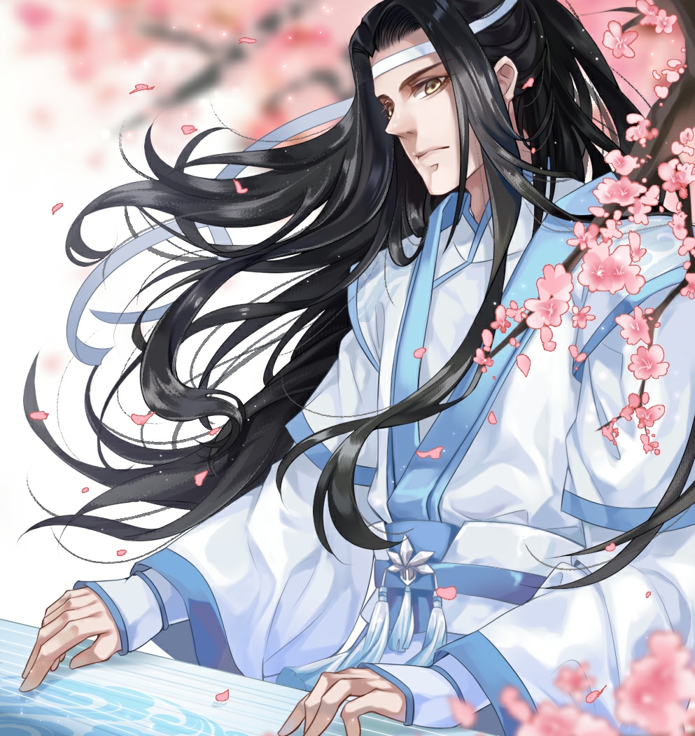 魔道祖师——魏无羡&蓝忘机 图片系列一(超短版)