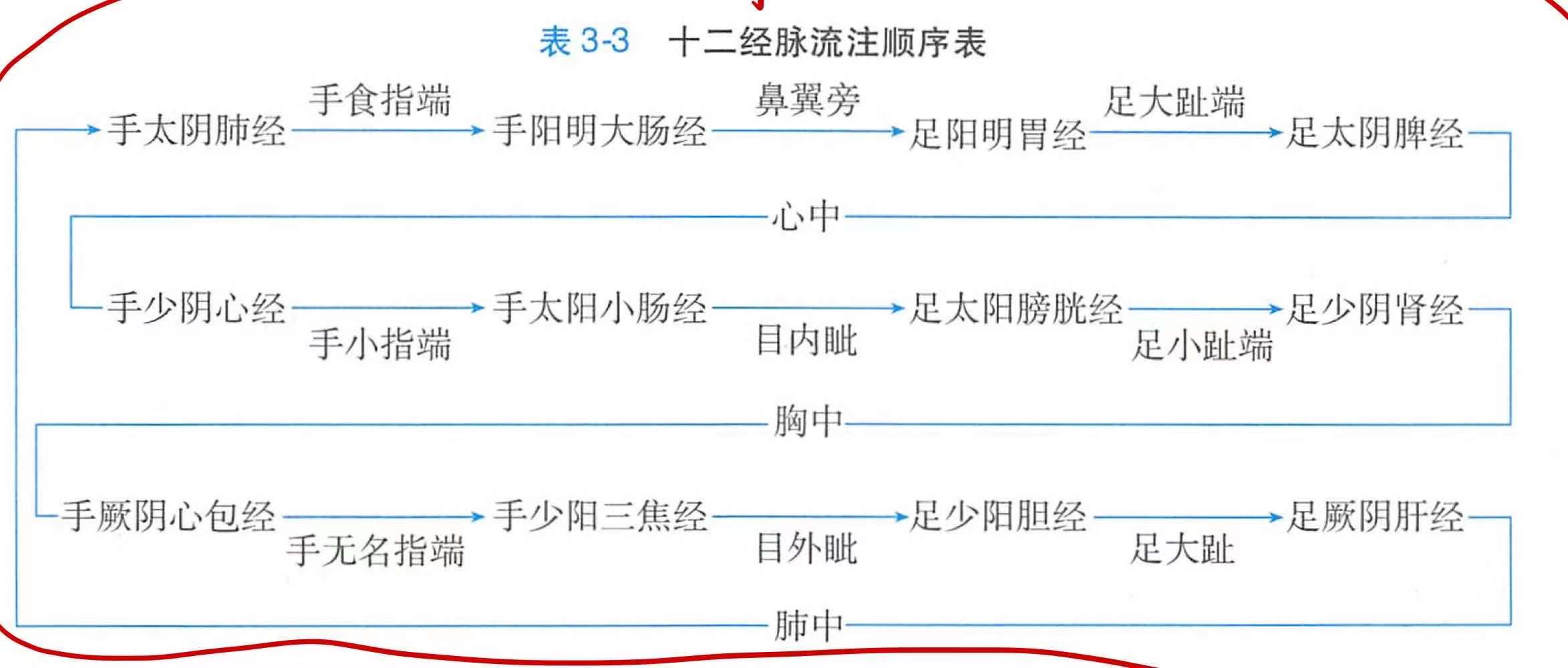 十二经脉流注顺序表