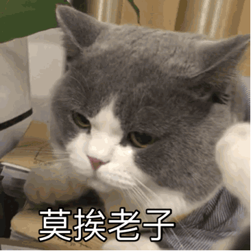 萌宠猫咪表情包(=~ω~=)
