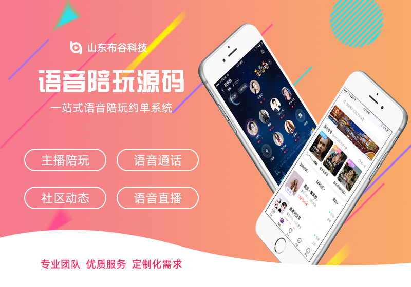 语音接码平台吧