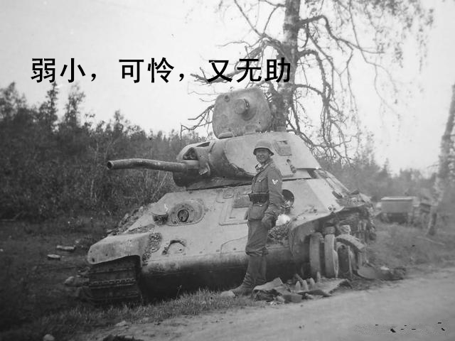 t34表情包(二战功臣)