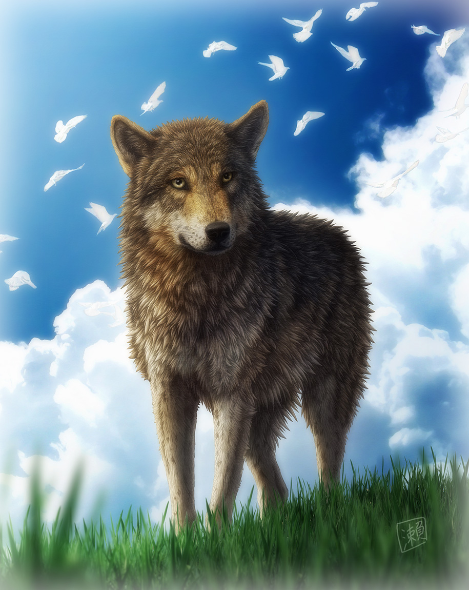 【狼的故事】各位,新年快乐~