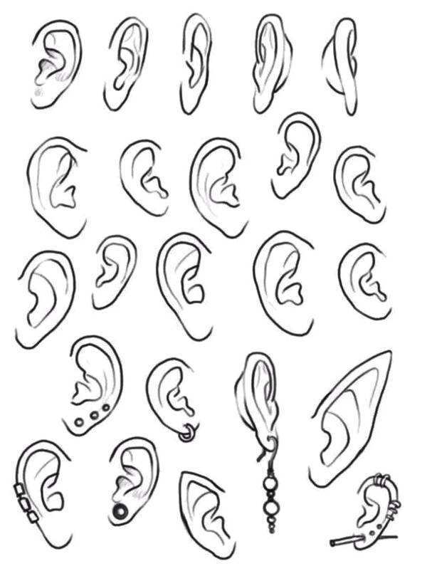 漫联素材耳朵的结构和画法
