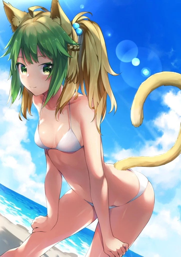 fgo 阿塔兰忒超清美图(第一期)