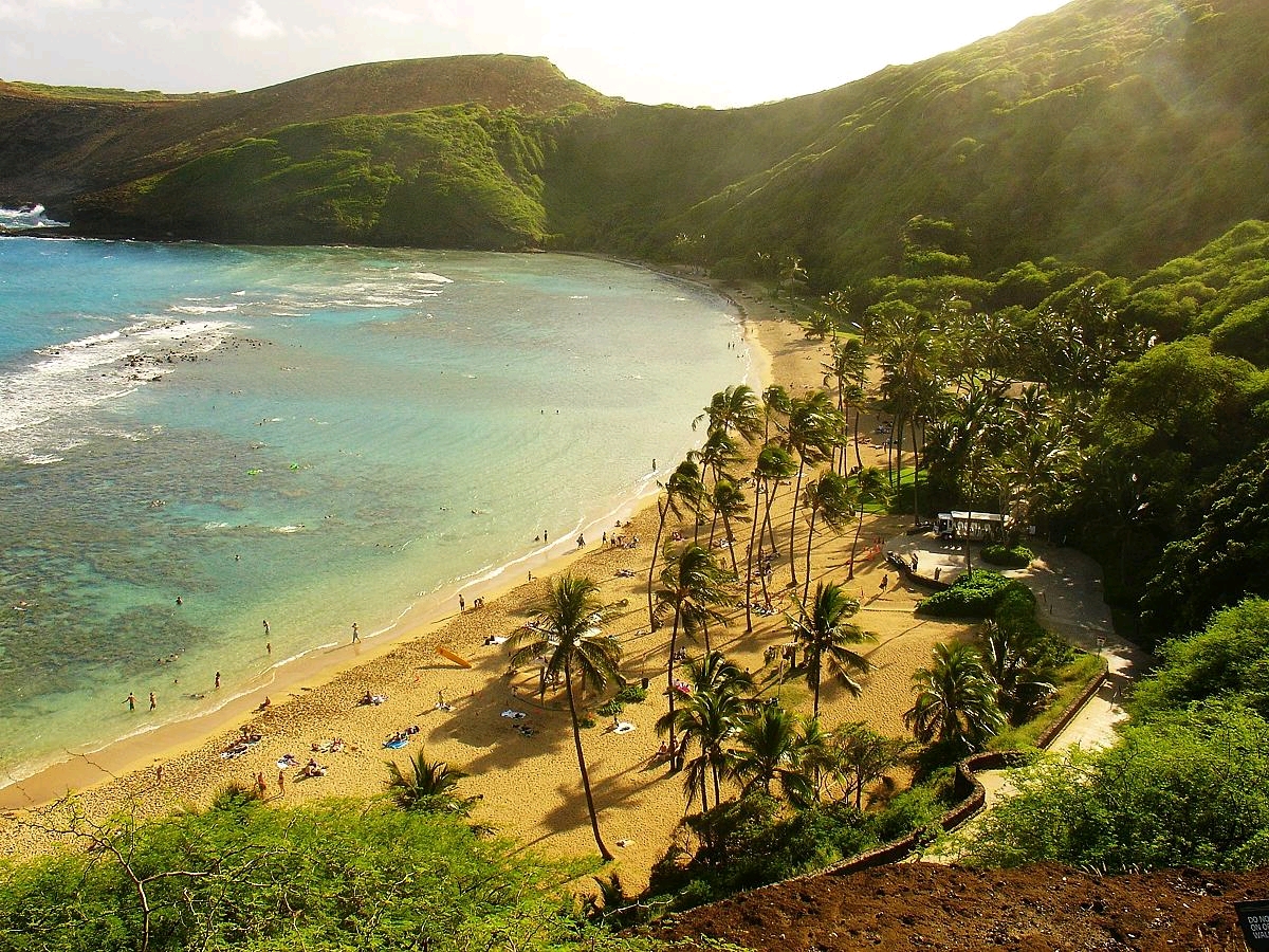 世界观设定考据 巨浪沙滩