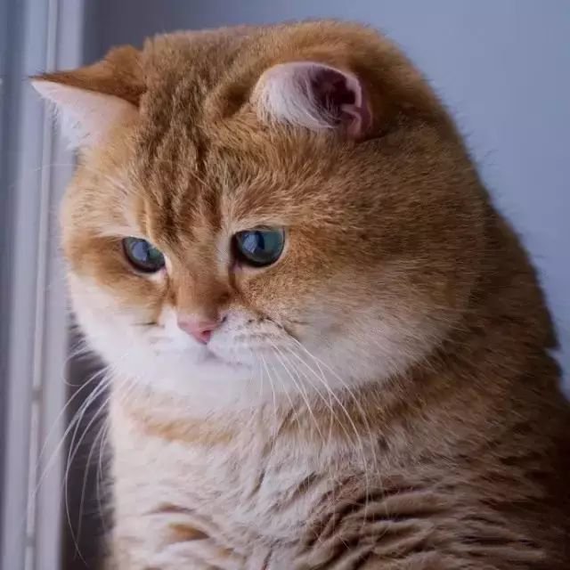 e0bb5f80e897c1b7970006fd848d3826d9c154df.jpg