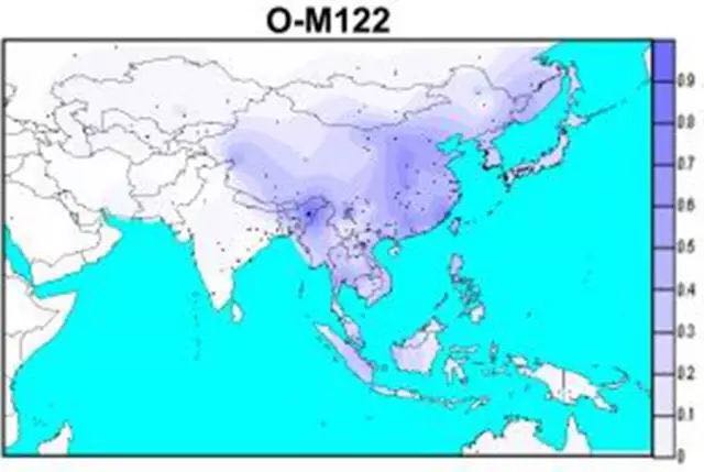 日本的民族人口_日本人口(3)