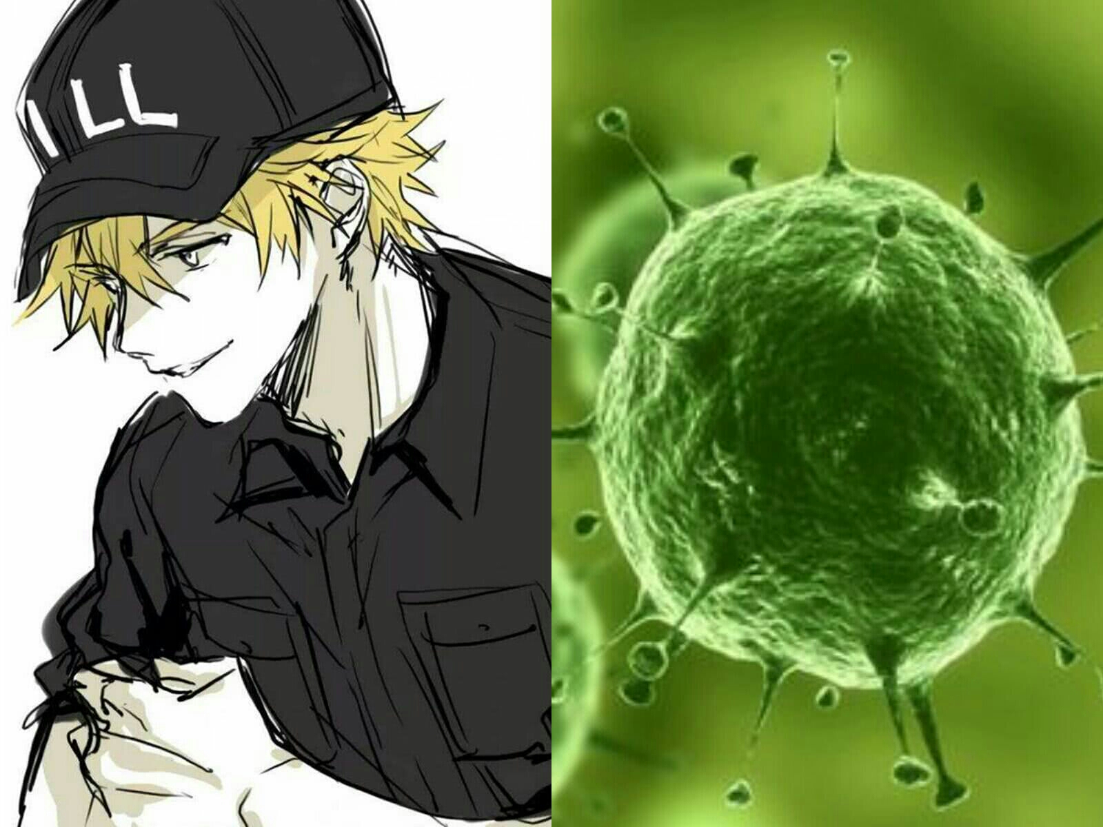 动画 动漫资讯 工作细胞中的真是身高对比,巨噬细胞是我老婆你们没