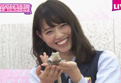 影视 综艺 动物园偶像-西野七濑     樱井玲香(就皮一下) (出处-乃木