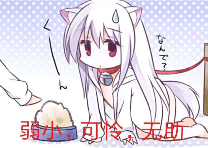 萌新女装up主求关注(づ●—● )づ