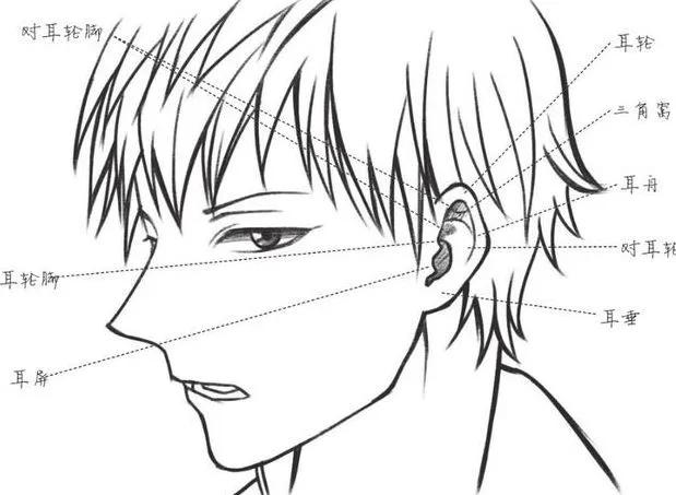 绘画教程|二次元漫画人物五官画法