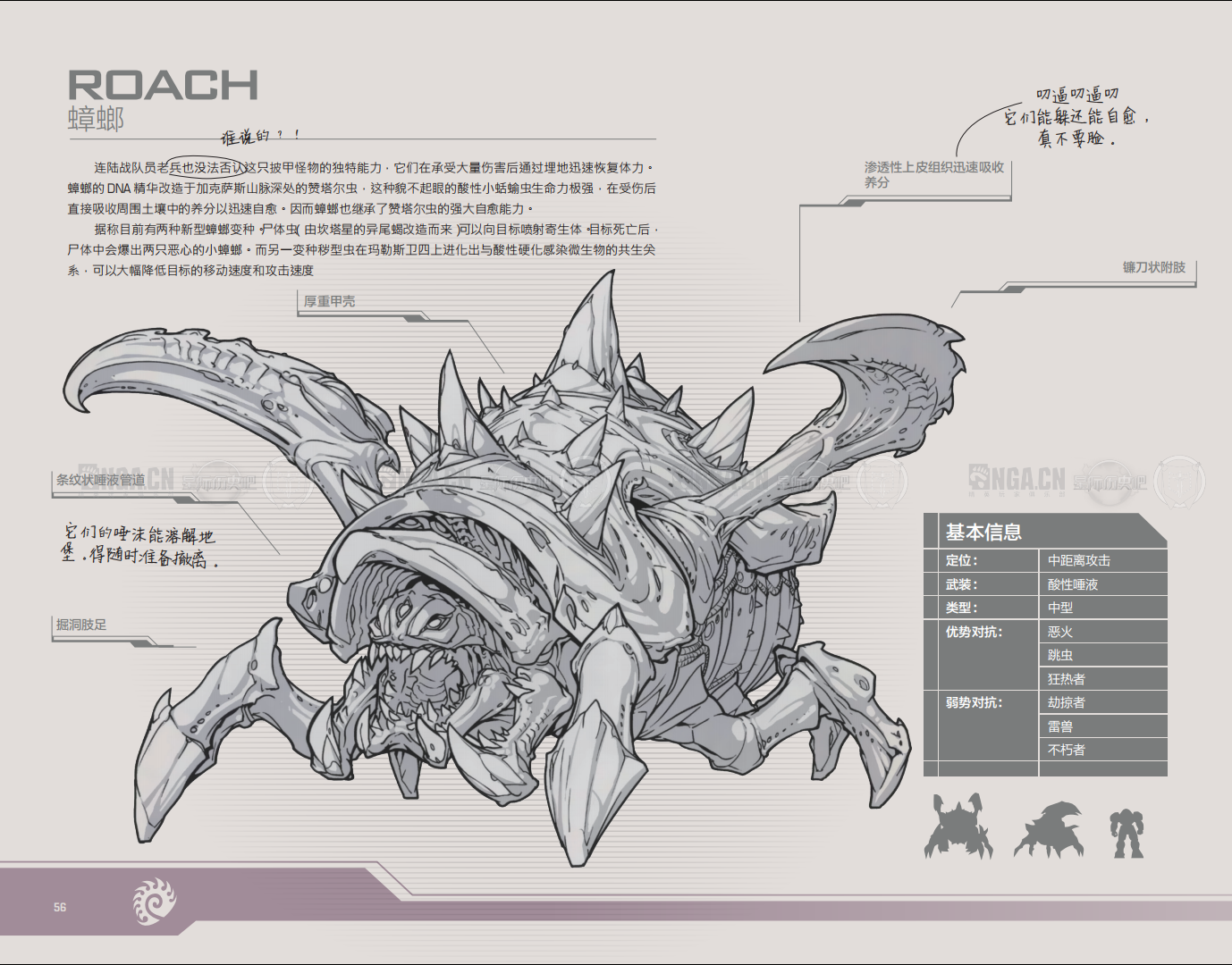 星际争霸2 英文维基词条 蟑螂(roach)翻译