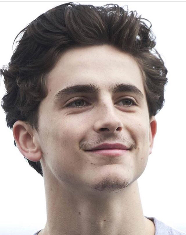 宣传beautiful boy的timothee chalamet