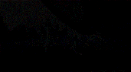 霸权预定——《fate extra》废话就不多了,进入正题(大量动图  流量