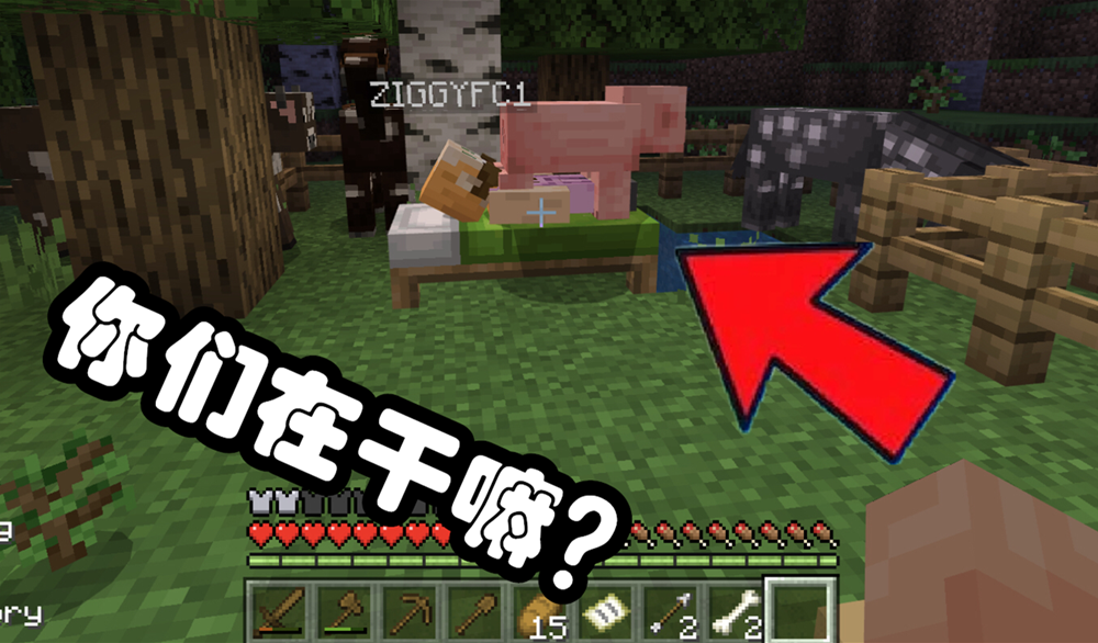 来自网络的11个minecraft梗,外行看不懂,内行表示:我也有点懵