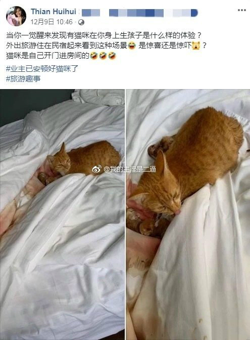 这是什么沙雕图?搞笑囧图第六弹!爆笑图片集合.你有想