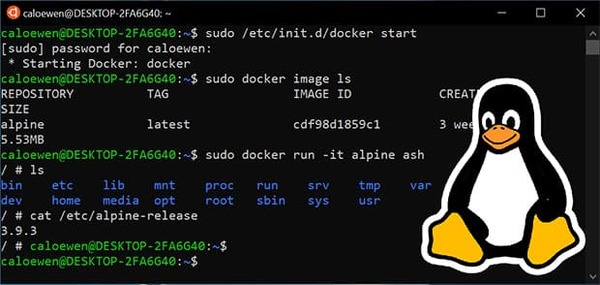 如何开始学习Linux脚本编程？  第1张