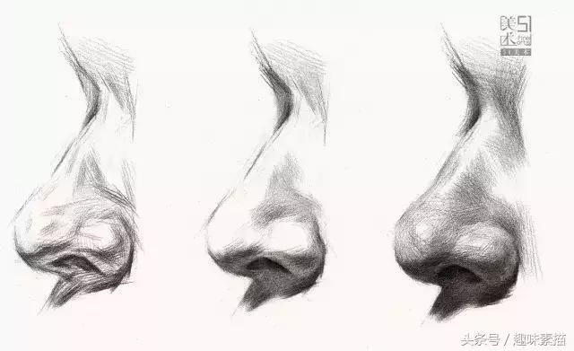 素描局部鼻子全面解析,特征、年龄、各角度怎么画?