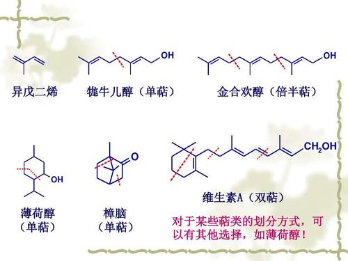 哪些属于有机物 e3a7e4e60513a40e283105010f5415d26aaed389.jpg