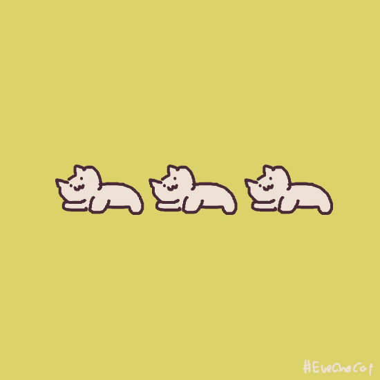 可无限循环的魔性小猫【动图合集】