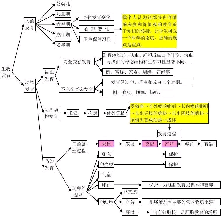 初中生物会考知识点(思维导图,建议打印)