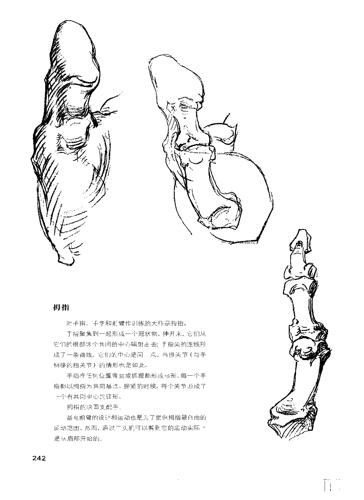 来跟仙儿菲一起研究伯里曼