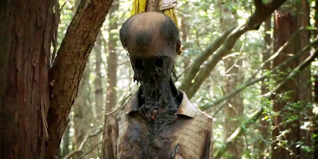 世界十大恐怖森林 日本"青木原"超过500具尸体的"自杀