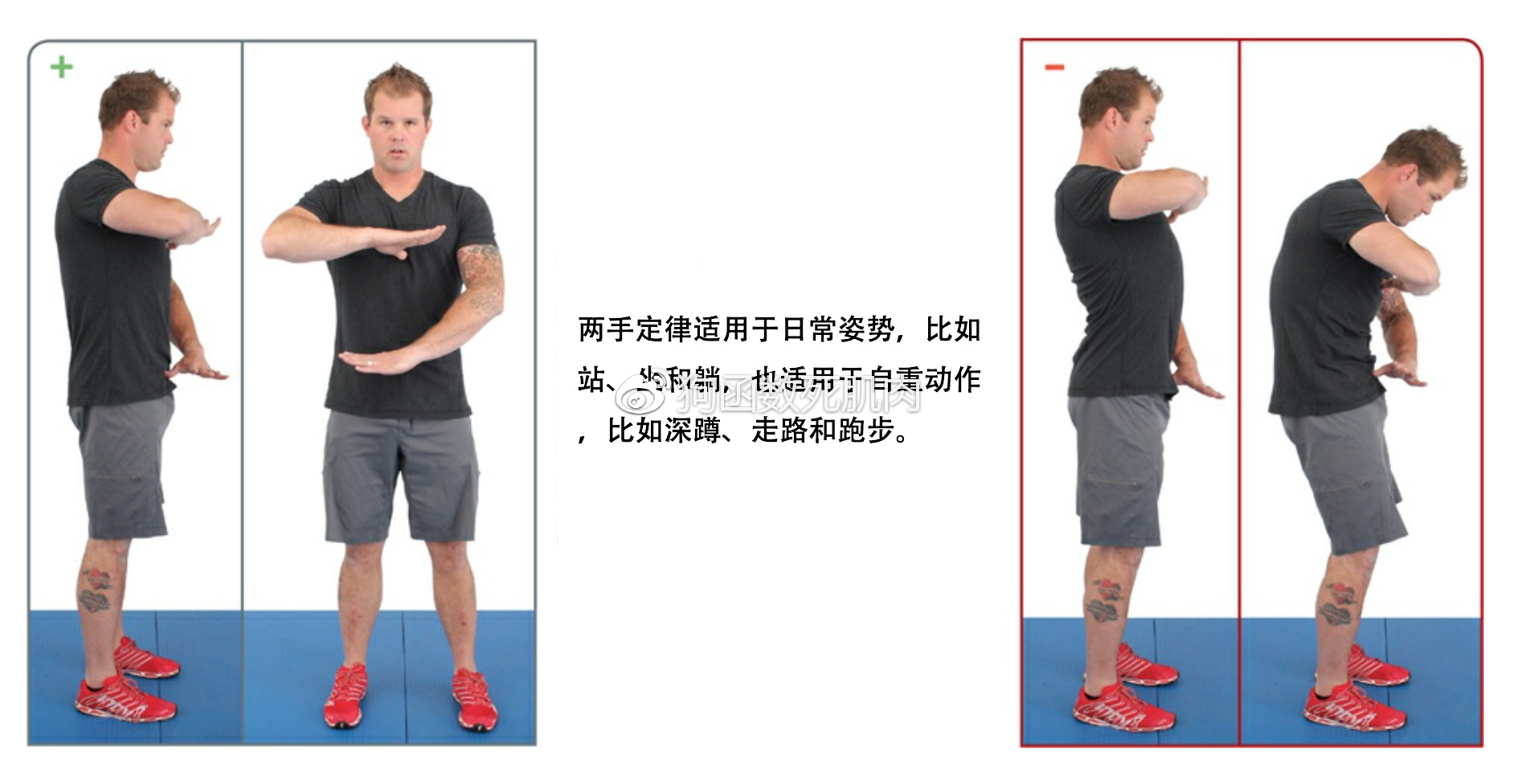  becoming a supple leopard 3 