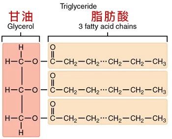 钟丽缇靠喝油排毒,连喝11天,肝硬化都能好?