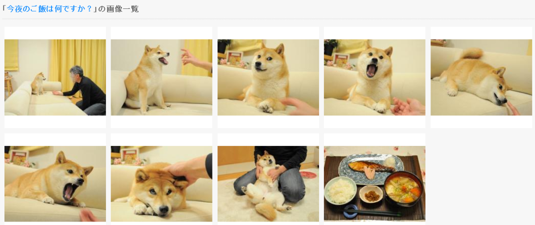 柴犬的这一具强(哲)壮(学)的身体,则是网友purnya232去年7月发布在