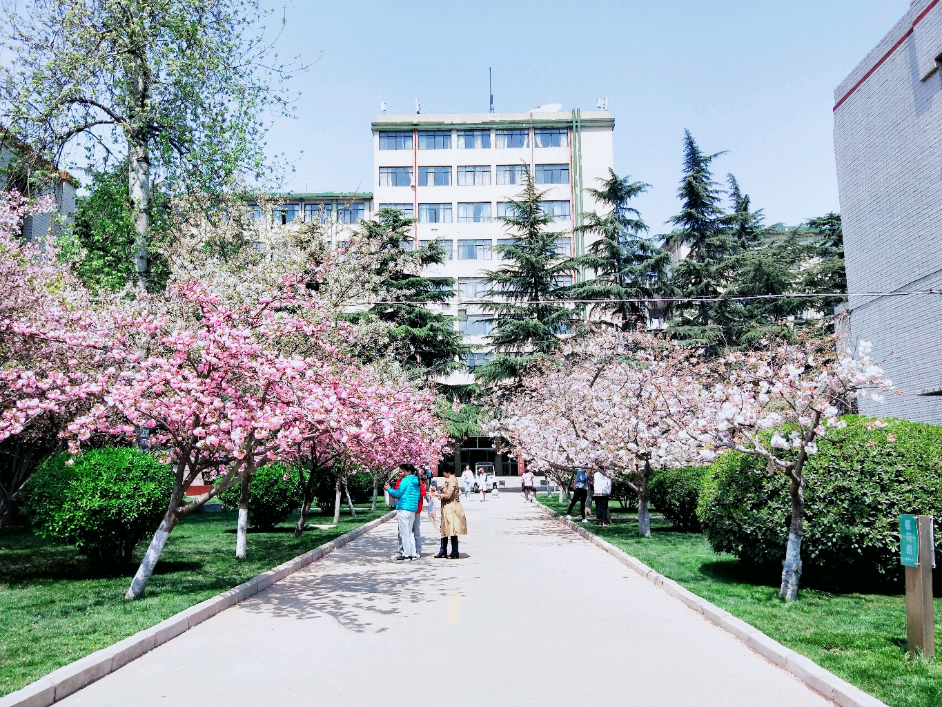 重磅发布|河南理工大学2019年招生简章!