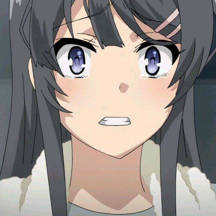 《青春猪头少年不会梦到兔女郎学姐》樱岛麻衣自截头像第三期