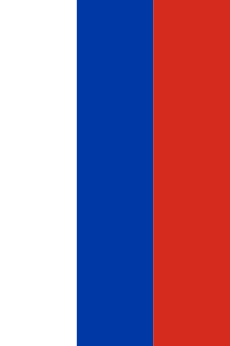 国家标志俄罗斯国旗