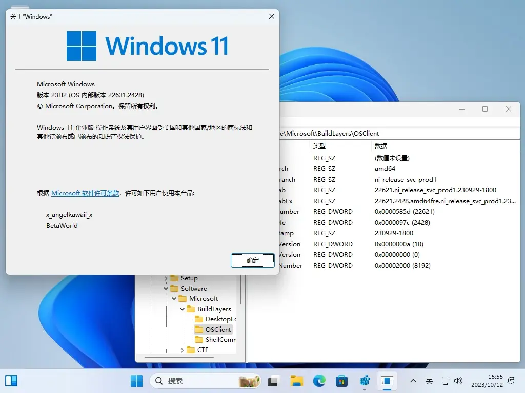 最新免费下载！Microsoft Win11 23H2 正式版镜像下载！