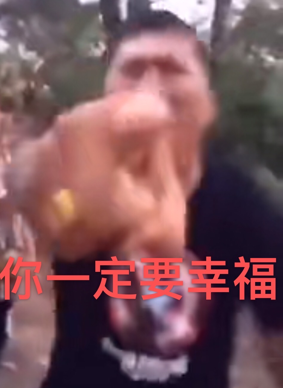 沈阳大战表情包