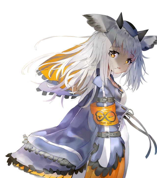 游戏 手机游戏 【明日方舟】美图～白面鸮专场〔补