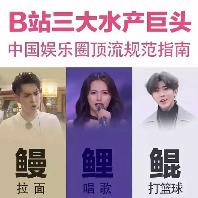 蔡徐坤鬼畜区“C位出道”,“鸡你太美”凭啥“血洗”B站?