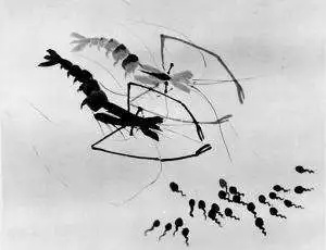 水墨动画片《小蝌蚪找妈妈》,1961年