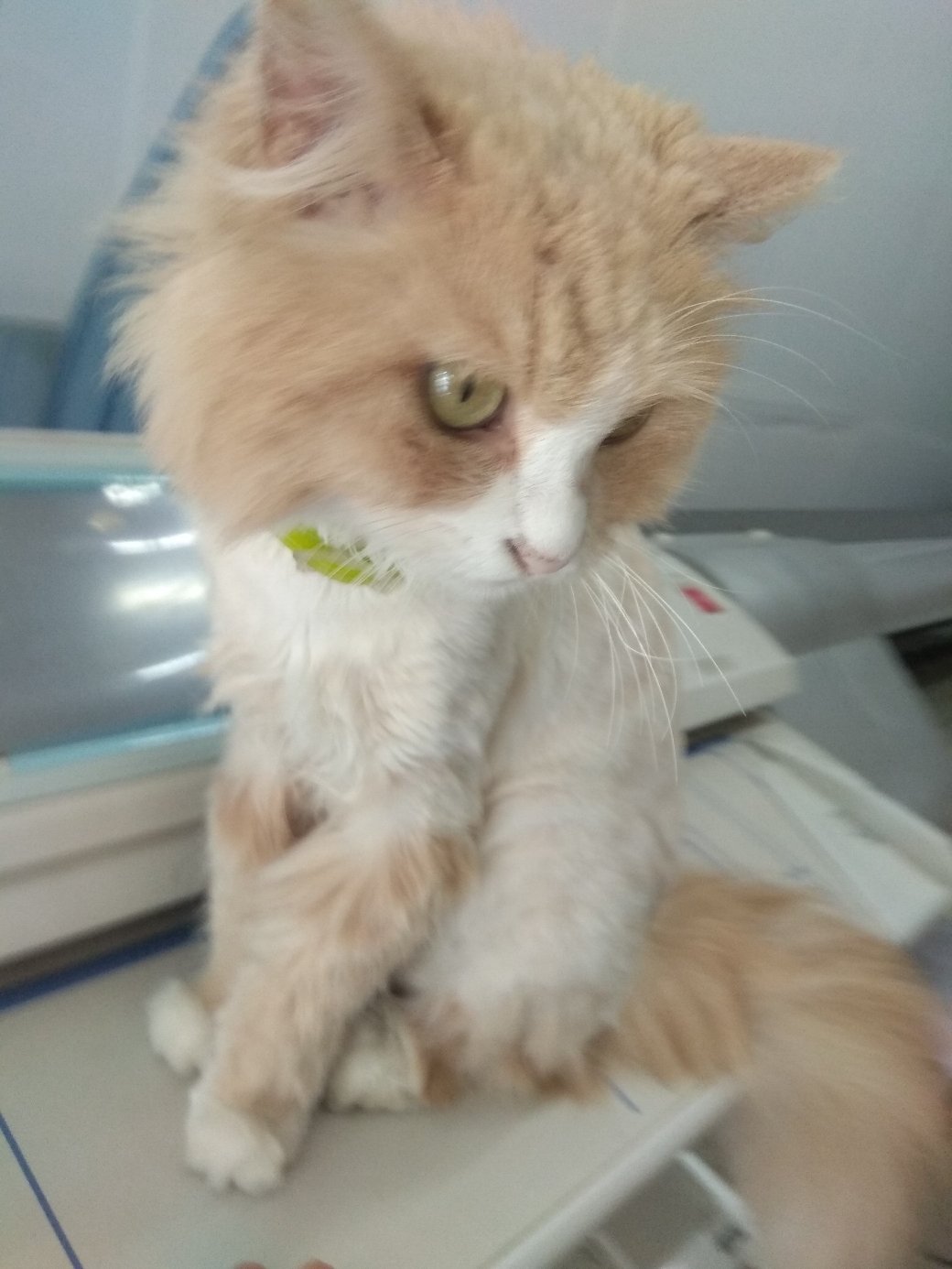 北京市肛肠医院(二龙路医院)混合痔手术记录(二