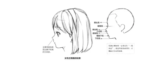 人中低,嘴唇下低,额头高,鼻尖高,唇珠高,下巴高) 男性嘴鼻的轮廓线