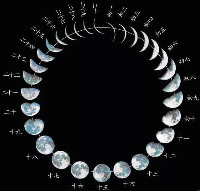 新月一上弦月一满月一下弦月一残月一新月.