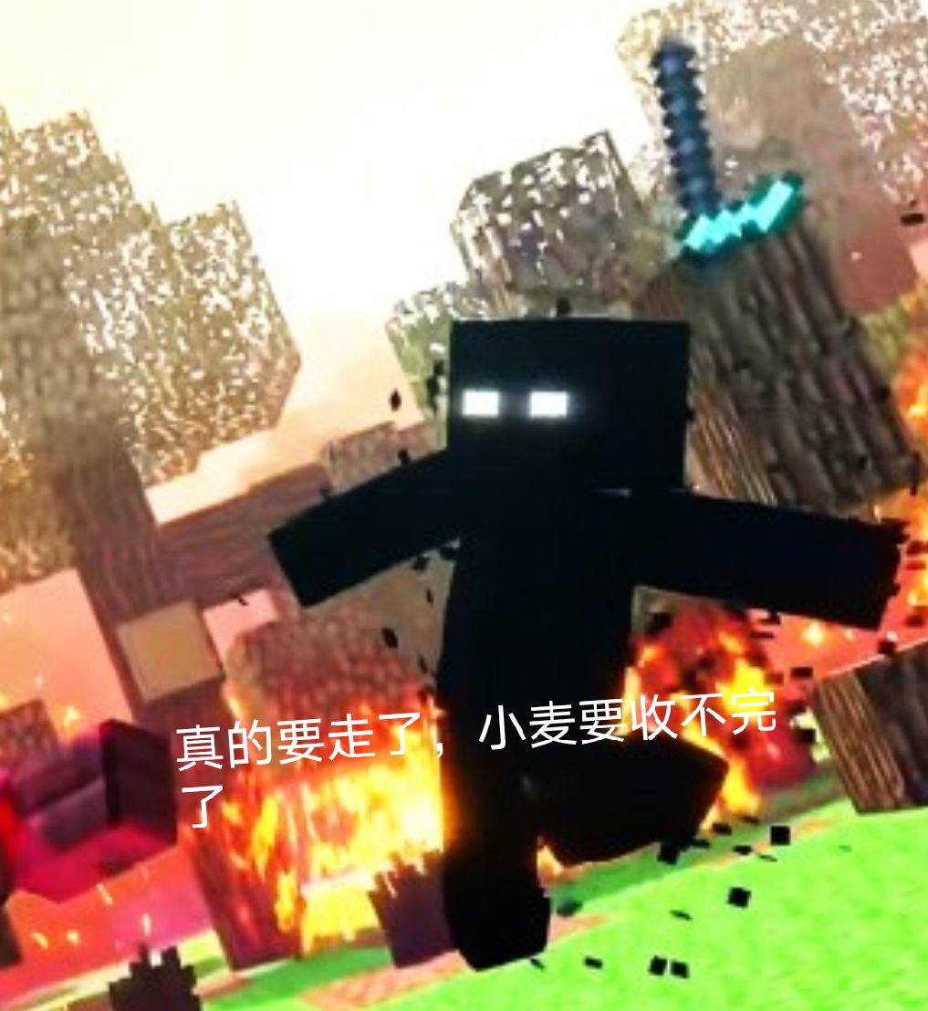 我的世界表情包第十一集