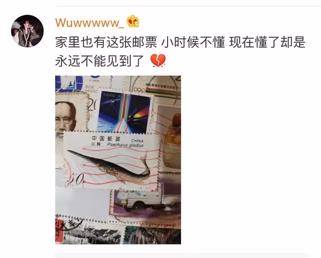 物种灭绝,长江“无鱼”,人类究竟要给地球动物带来多少伤害