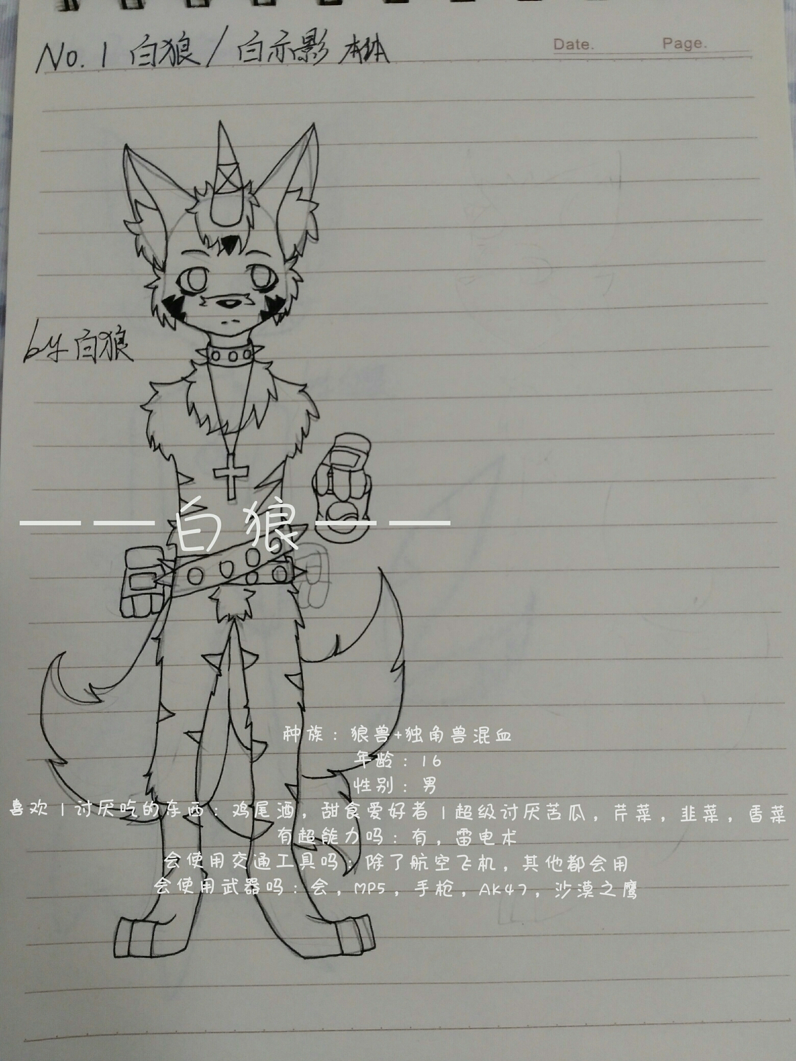 自我介绍以及兽设说明