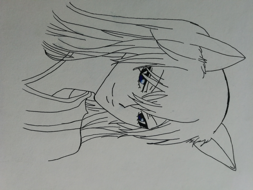 看看初二的小辣鸡可以画出啥