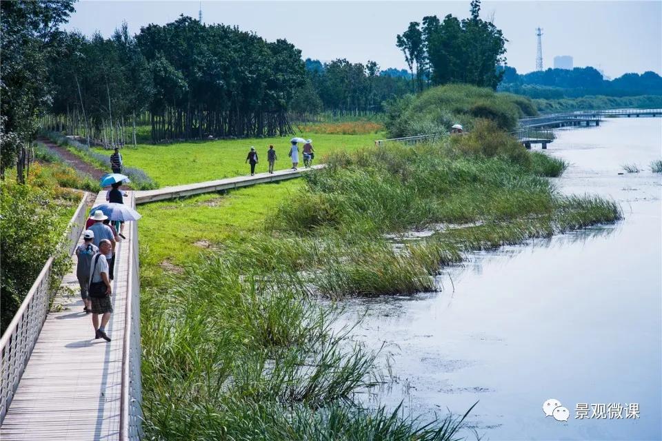 湿地公园运营案例,湿地公园运营案例分析