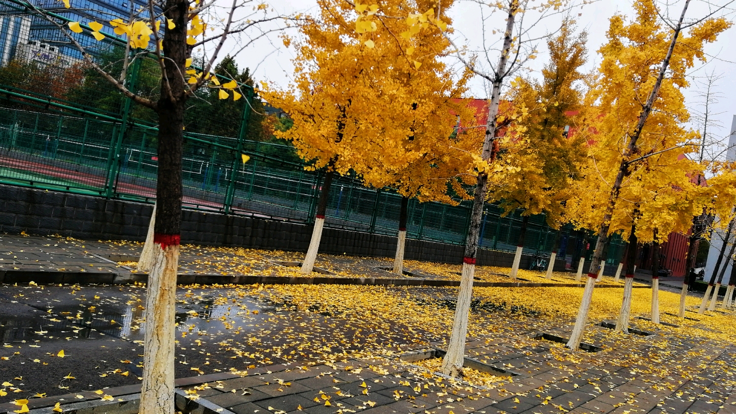 下雨天迟早会变成晴天