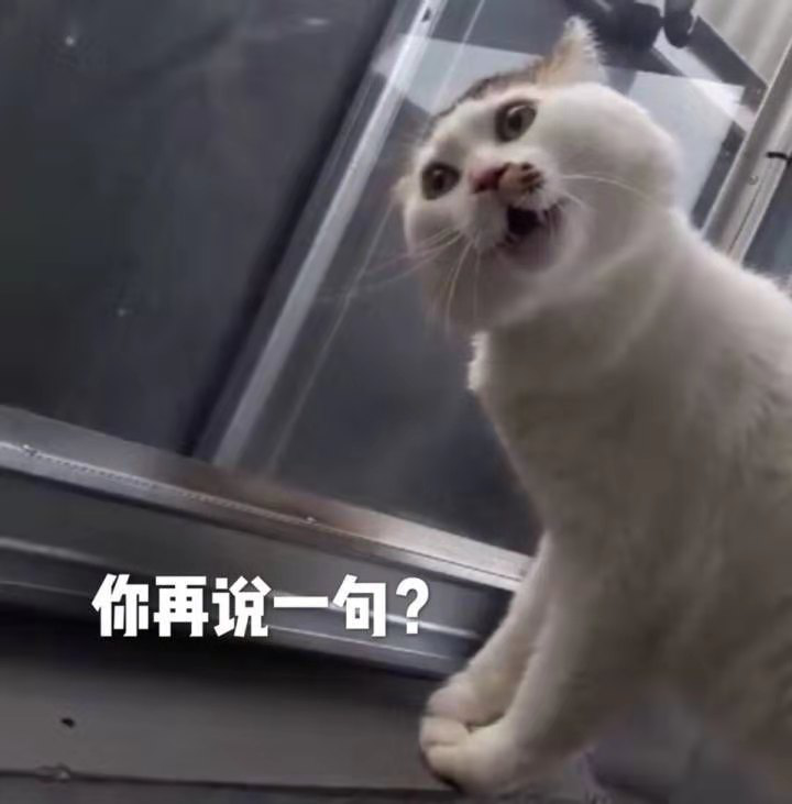 小白の日常沙雕生活