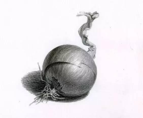单个水果蔬菜静物素描欣赏 单个生活用品素描欣赏 学好素描静物的